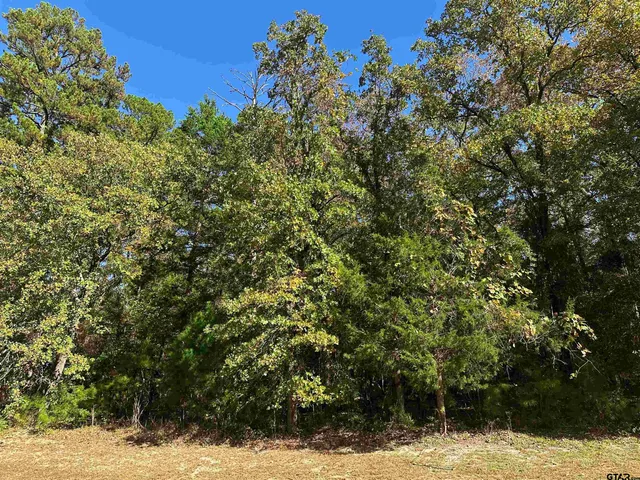 a view of a yard covered with snow