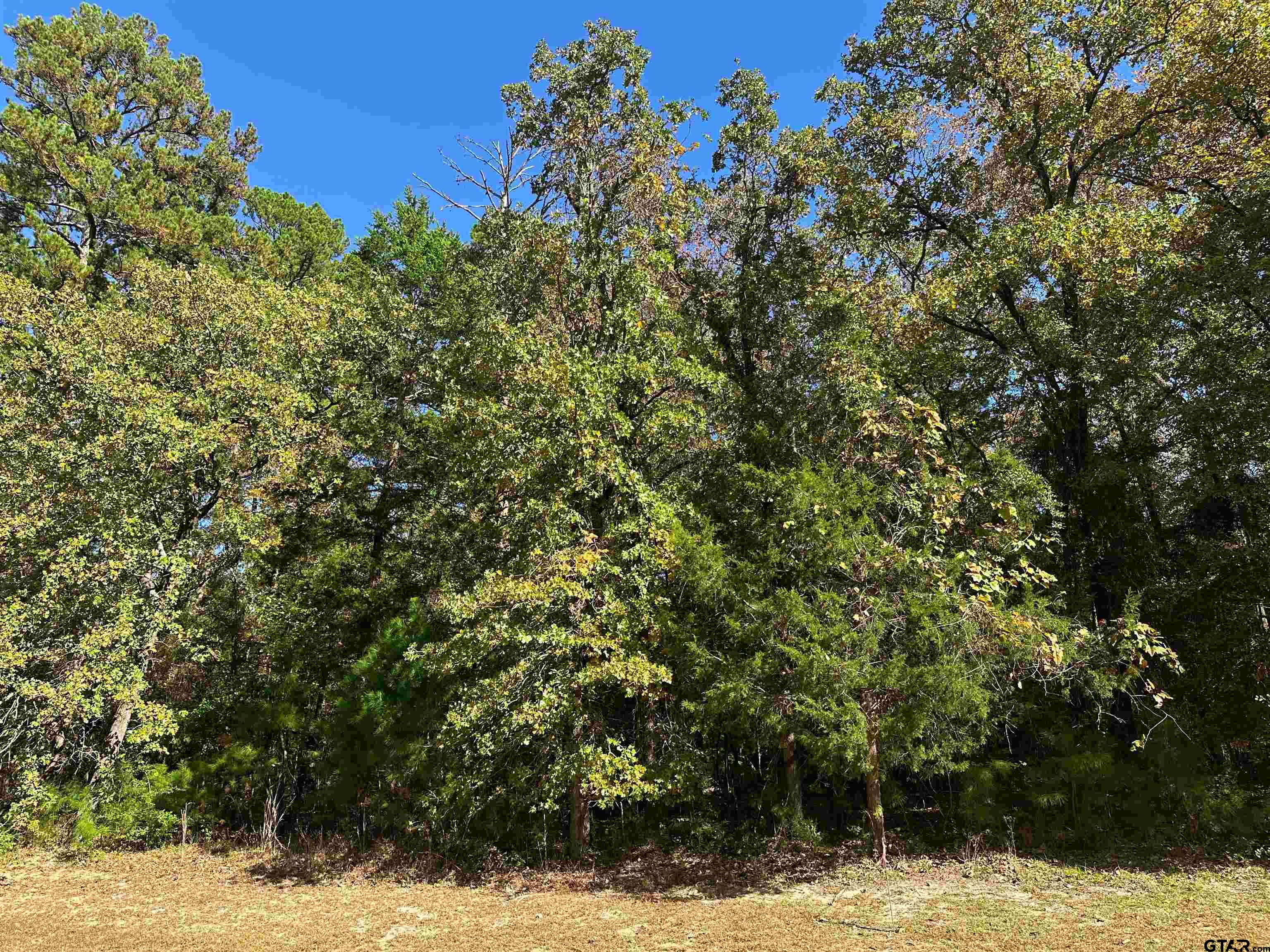 a view of a yard covered with snow