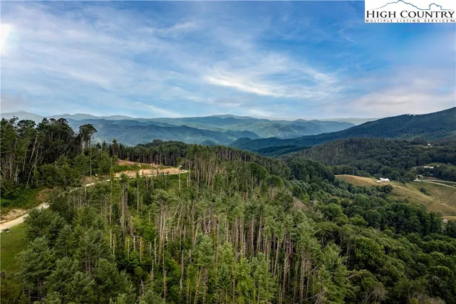 a view of a lush green forest with houses