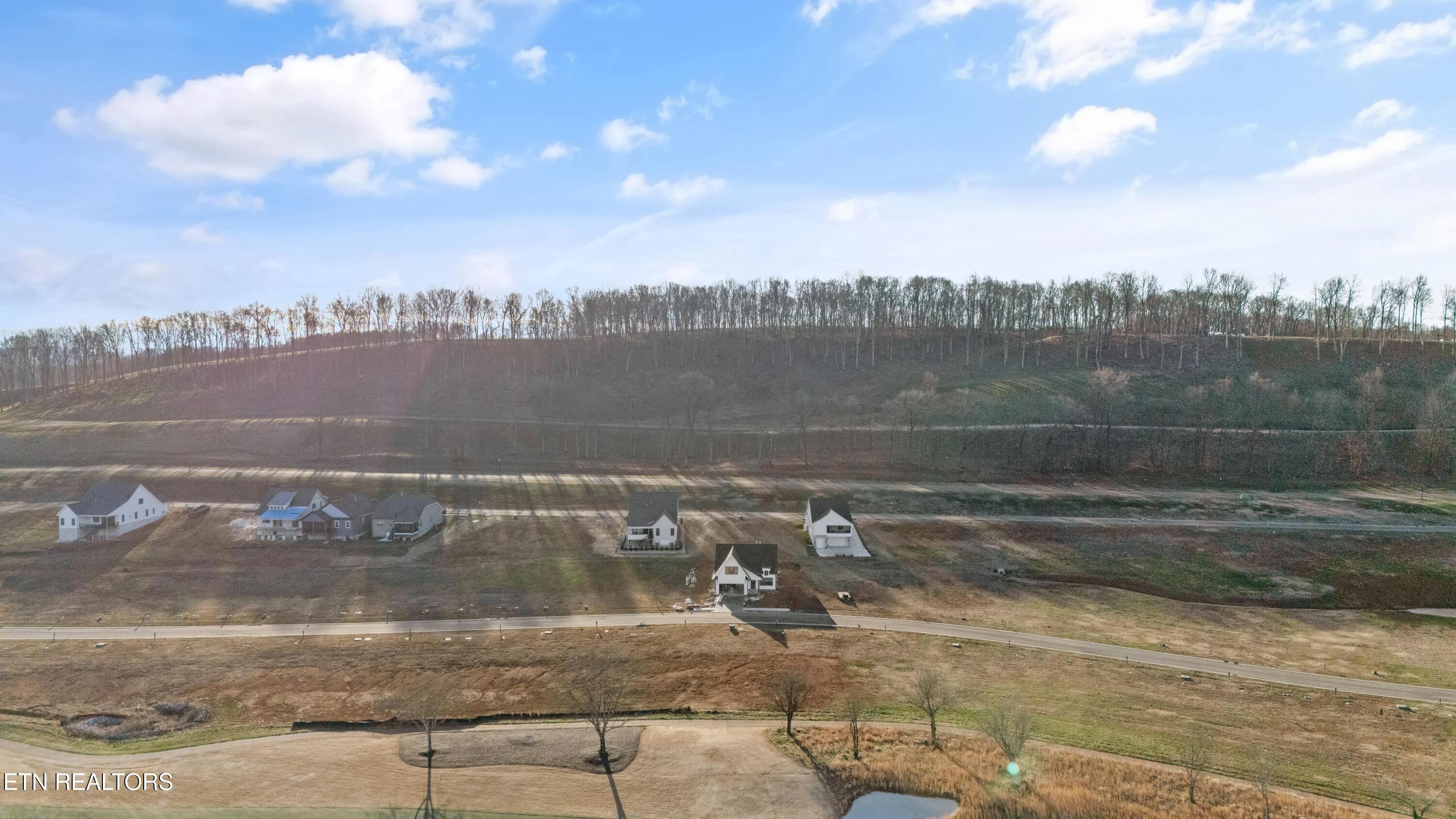 1700 Black Bear Circle Loudon, TN 37774 - Photo 4 of 44 IMG_9177