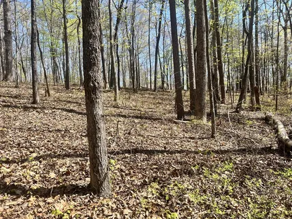 $45,000 | Lot 93 Doll Mountain Road, Ellijay, GA 30540