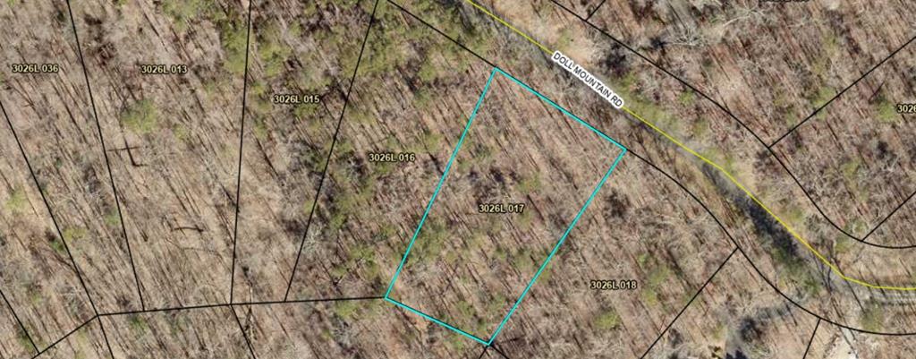 Lot 93 Doll Mountain Road Ellijay, GA 30540 - Photo 8 of 8