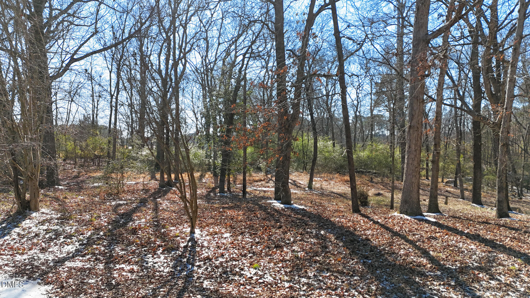 3336 Holly Lake Trail Raleigh, NC 27604 - Photo 4 of 9 DJI_20260128135406_0015_D