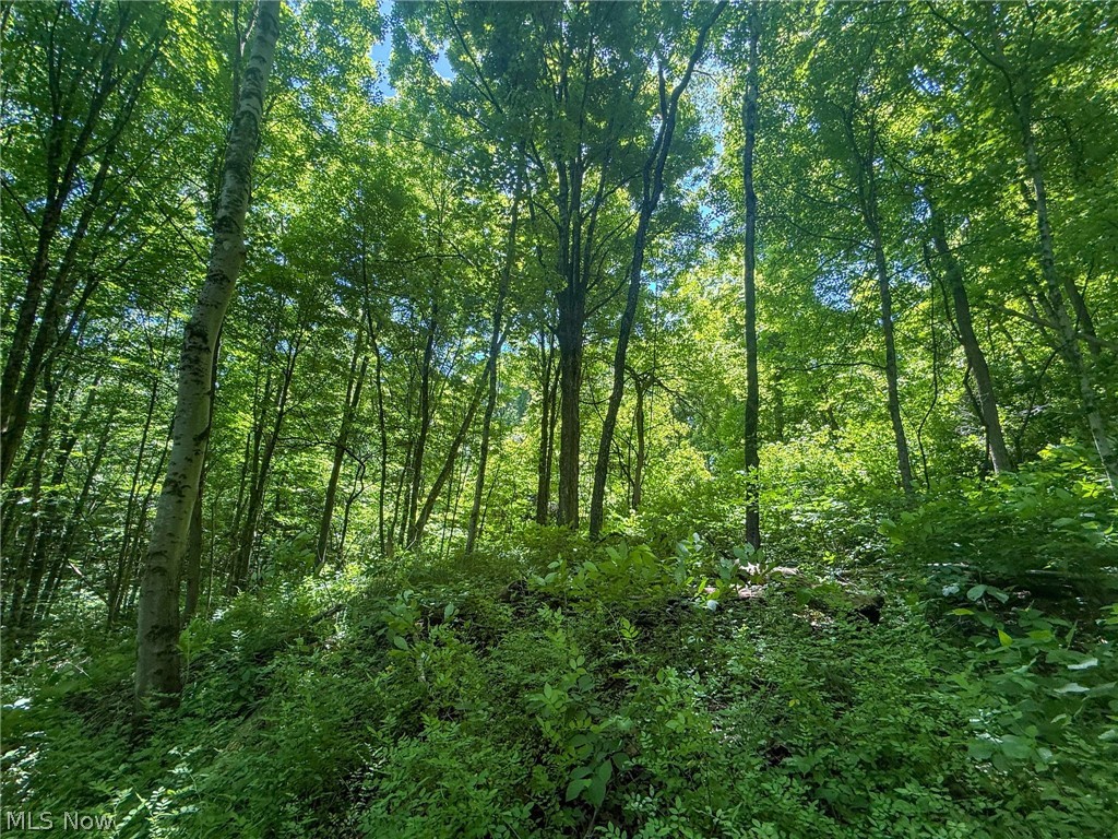Keffer Road Stockport, OH 43787 - Photo 13 of 25