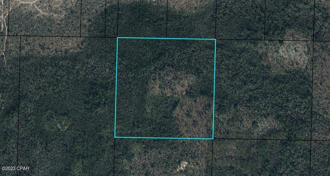 0 Northwest Camp Head Road Altha, FL 32421 - Photo 3 of 8
