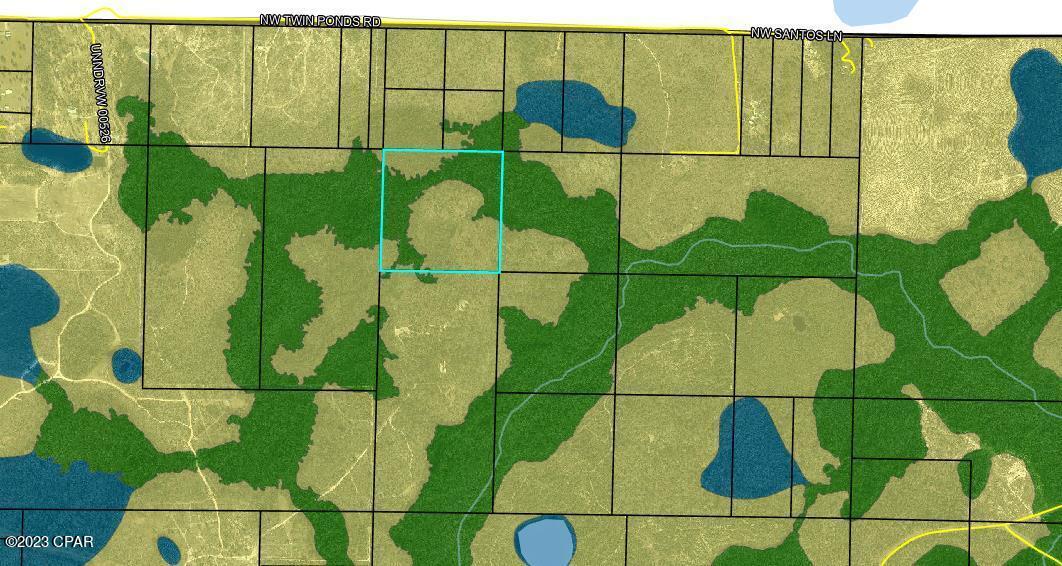 0 Northwest Camp Head Road Altha, FL 32421 - Photo 4 of 8