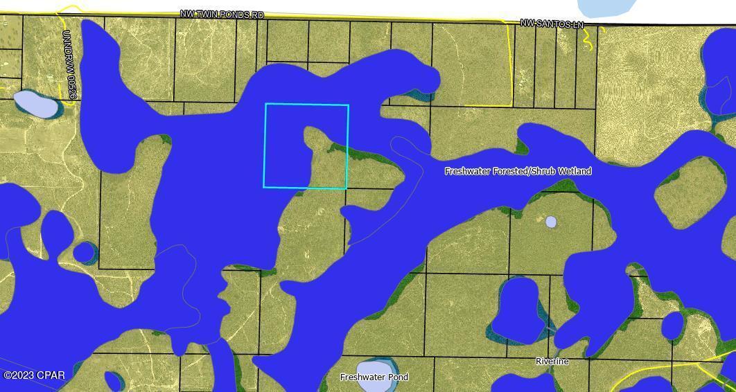 0 Northwest Camp Head Road Altha, FL 32421 - Photo 6 of 8