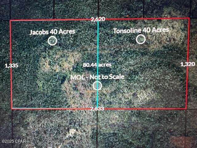 0 Northwest Camp Head Road Altha, FL 32421 - Photo 8 of 8