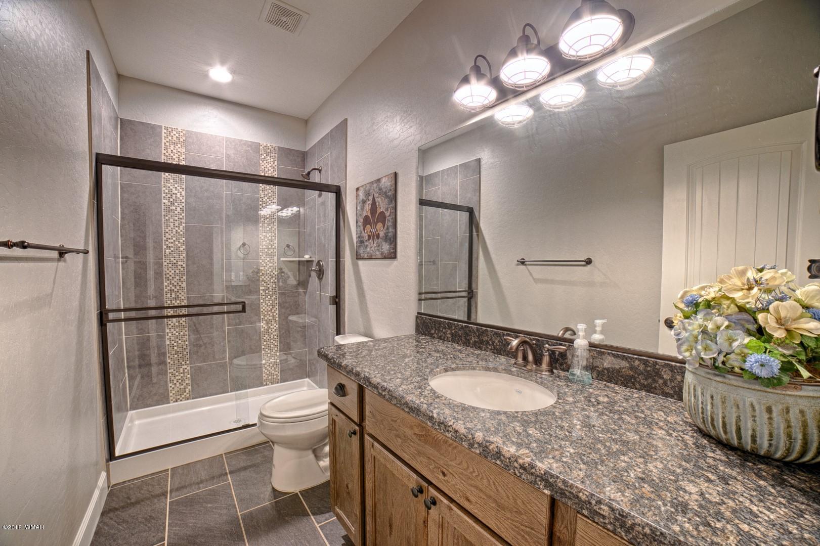 3021 West Alpine Rdg Road Show Low, AZ 85901 - Photo 16 of 31 Gallery Image 16