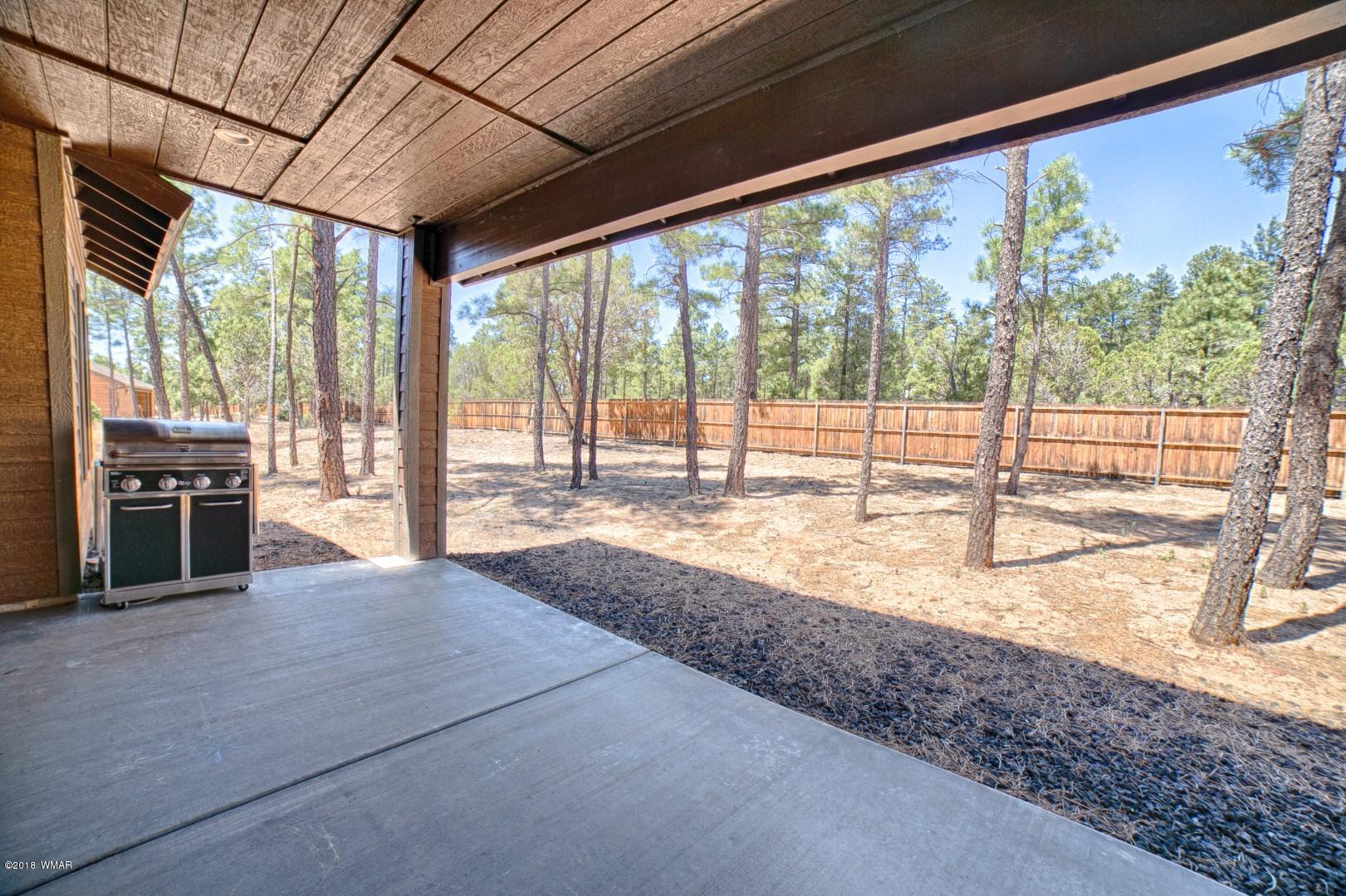 3021 West Alpine Rdg Road Show Low, AZ 85901 - Photo 23 of 31 Gallery Image 23