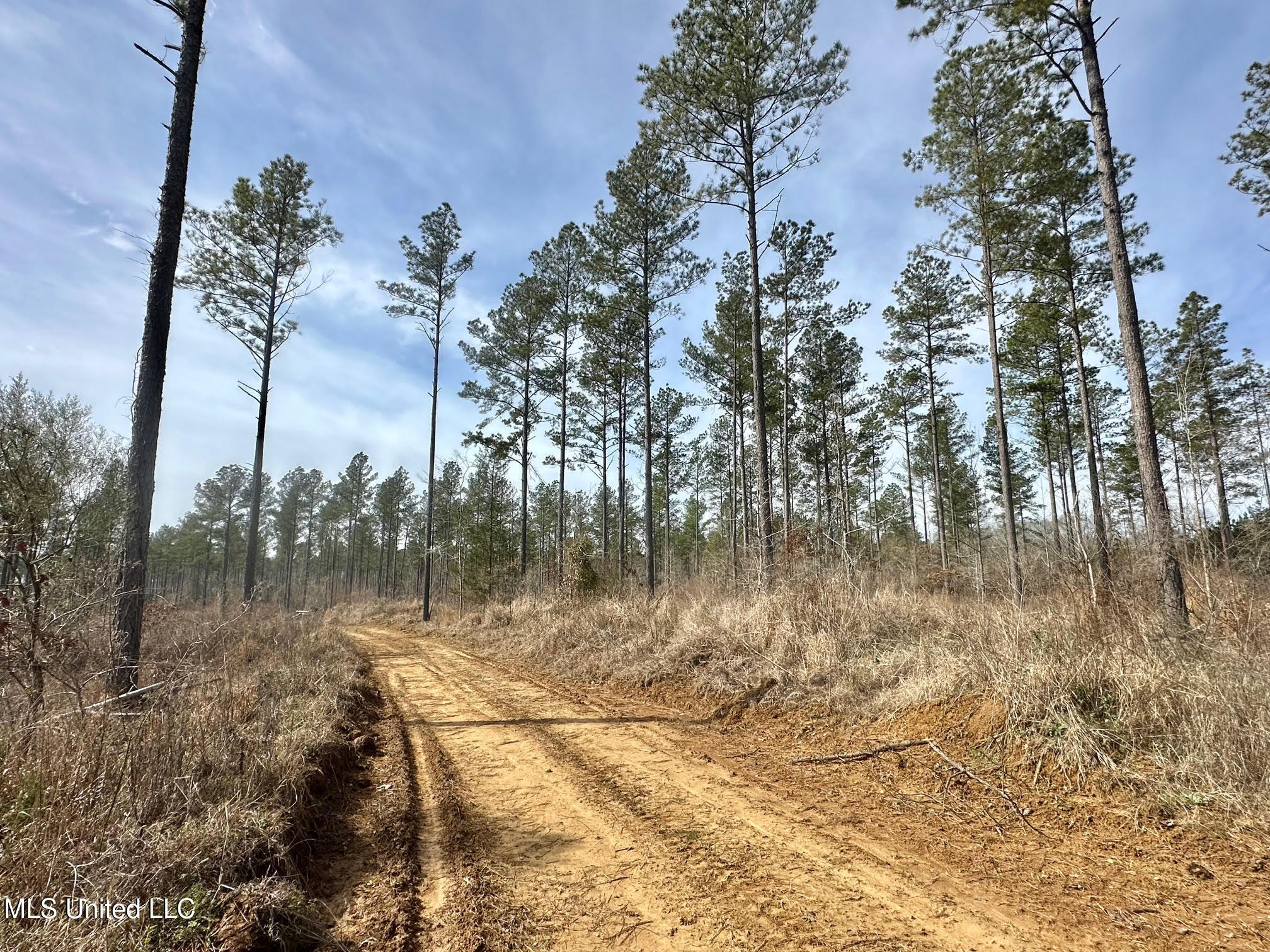 2 Dry Grove Road Terry, MS 39170 - Photo 6 of 24 501