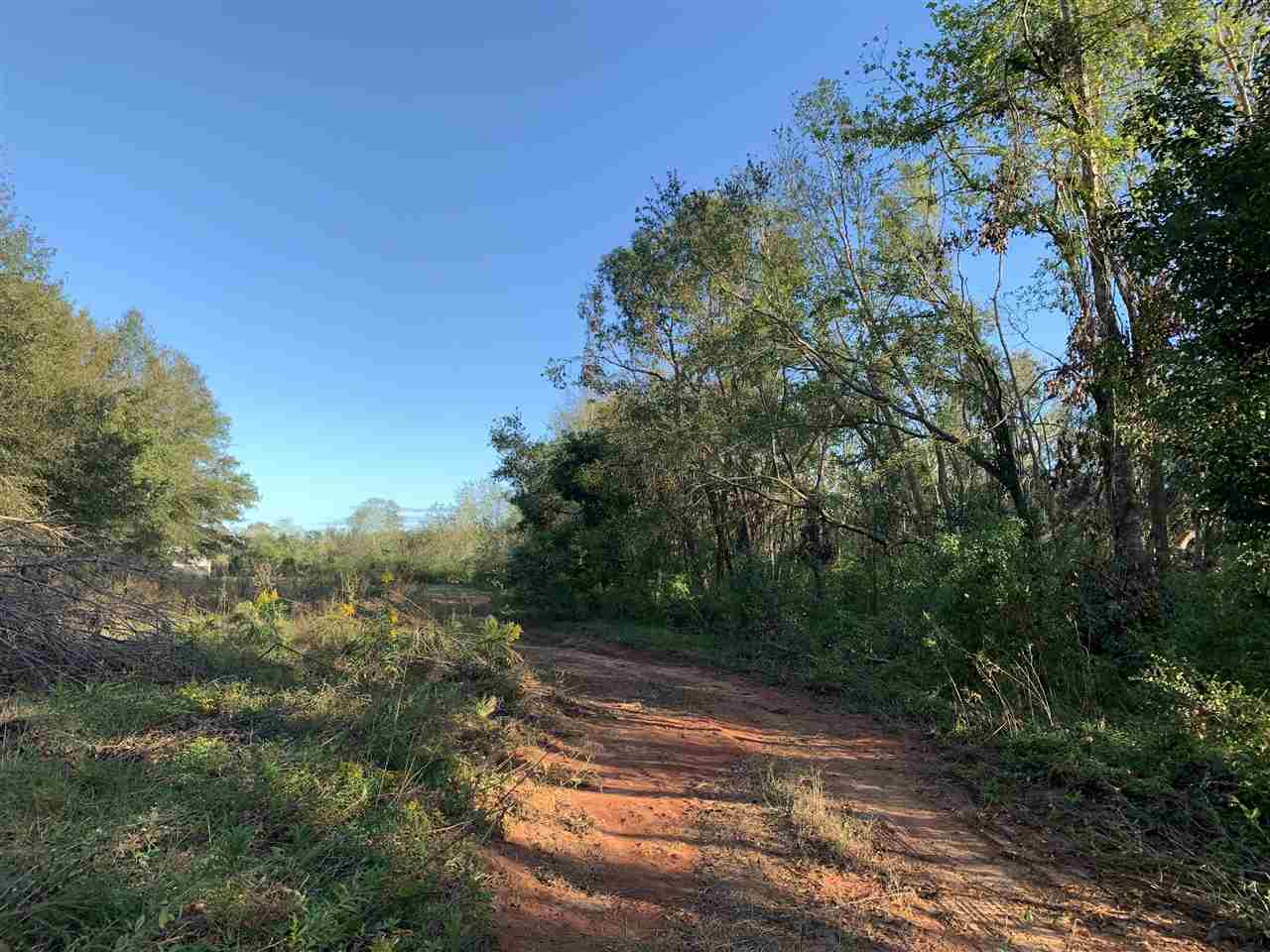 10260 County Road 32 Fairhope, AL 36532 - Photo 14 of 24