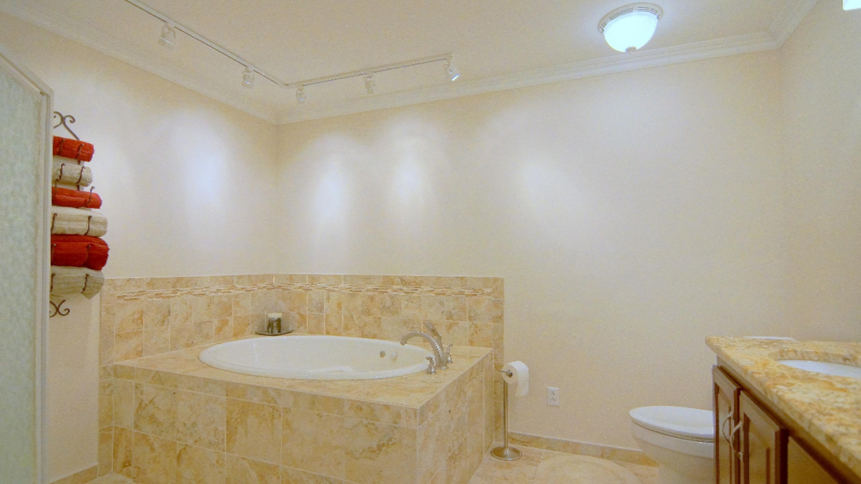 10223 Baldwin Road Bridgman, MI 49106 - Photo 17 of 33 miles 13 master bath