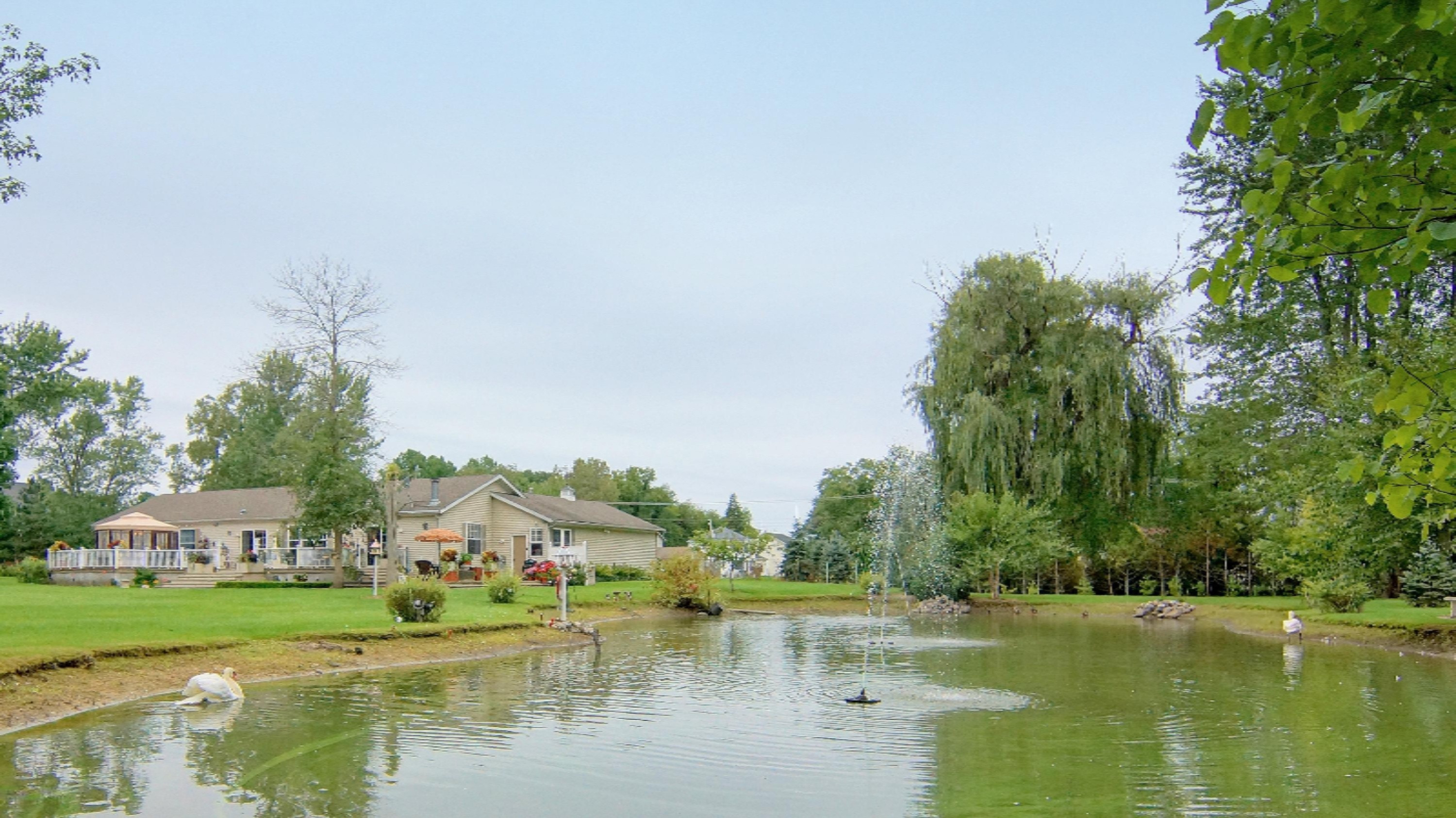 10223 Baldwin Road Bridgman, MI 49106 - Photo 23 of 33 miles 23 pond & yard
