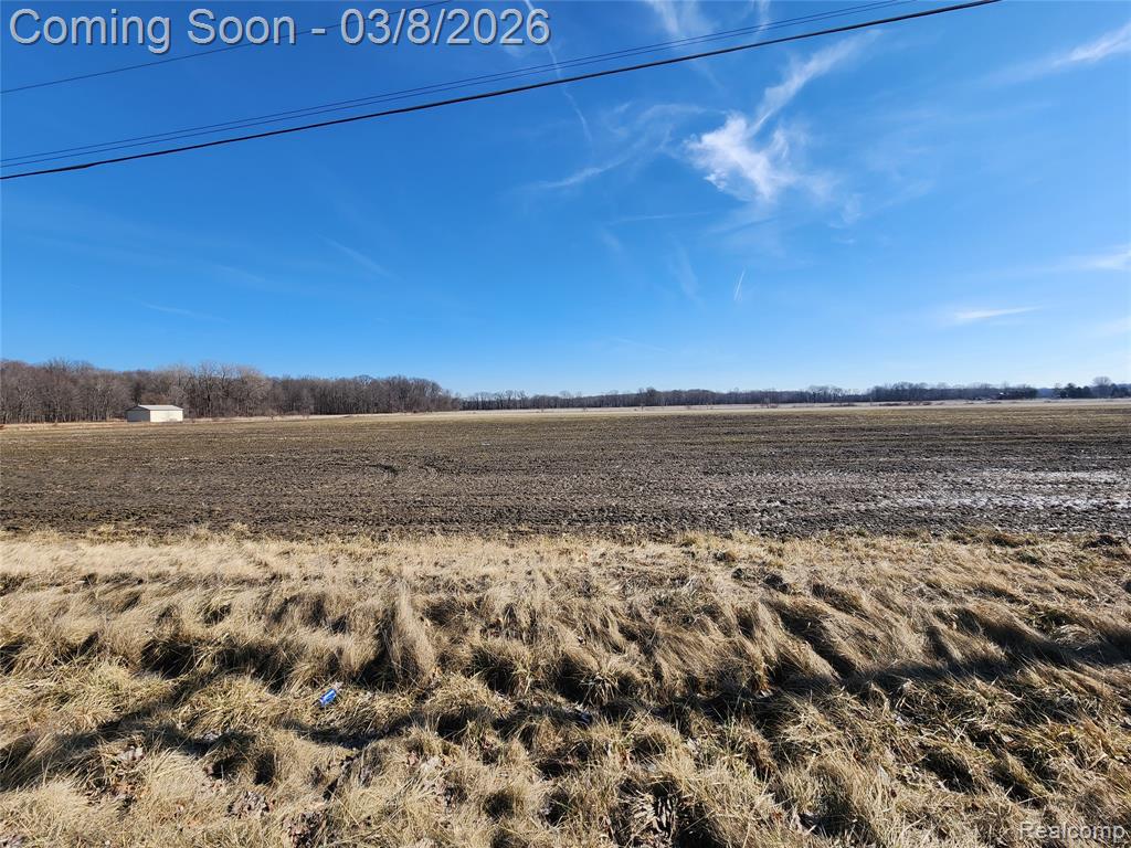 5 Kunstman Road Ray, MI 48096 - Photo 8 of 14