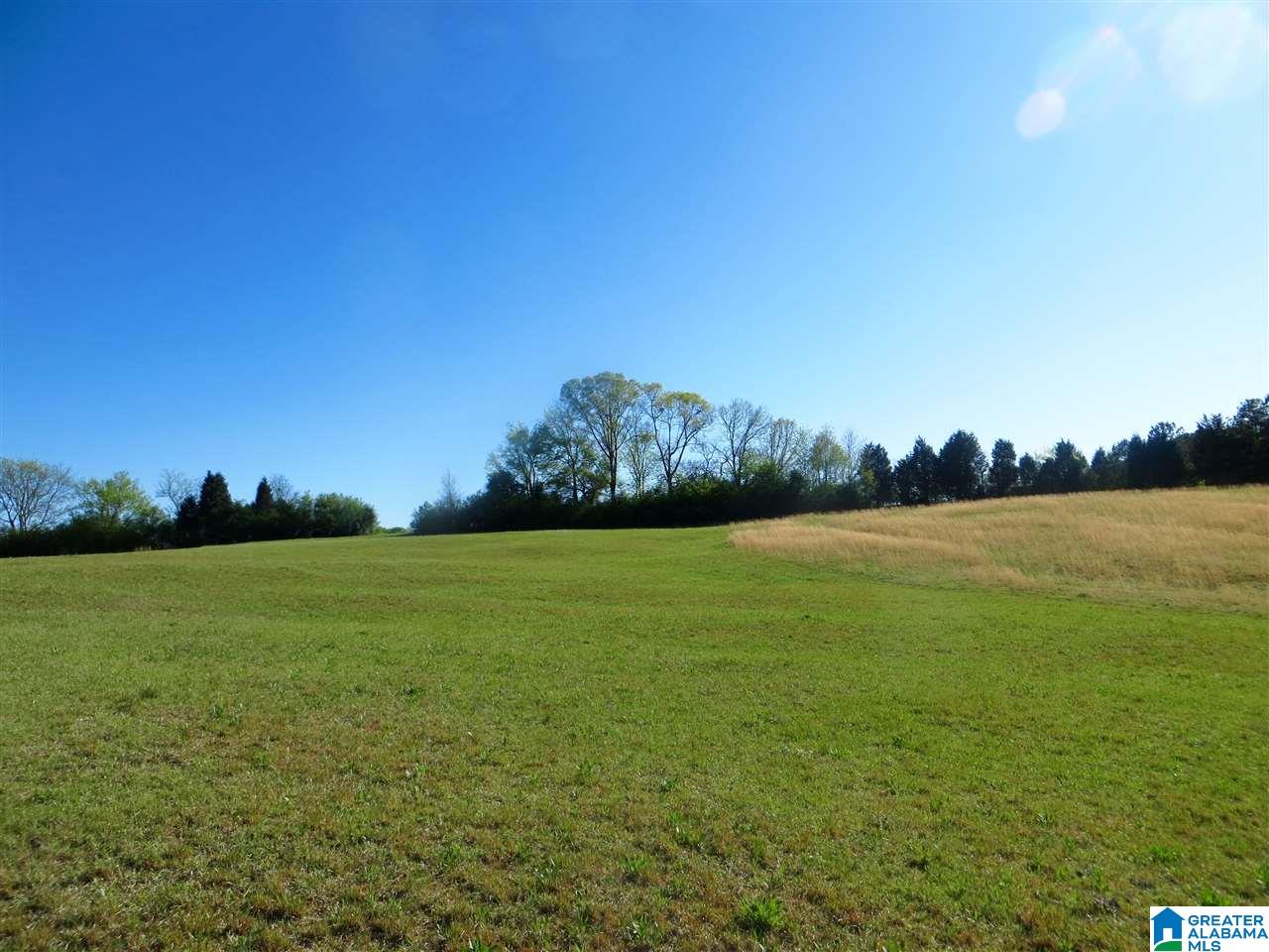 0 Eureka Road, Unit 7 Lincoln, AL 35096 - Photo 28 of 34