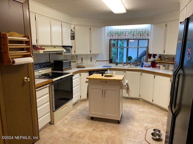 204 Osceola Road Georgetown, FL 32139 - Photo 8 of 30 Kitchen
