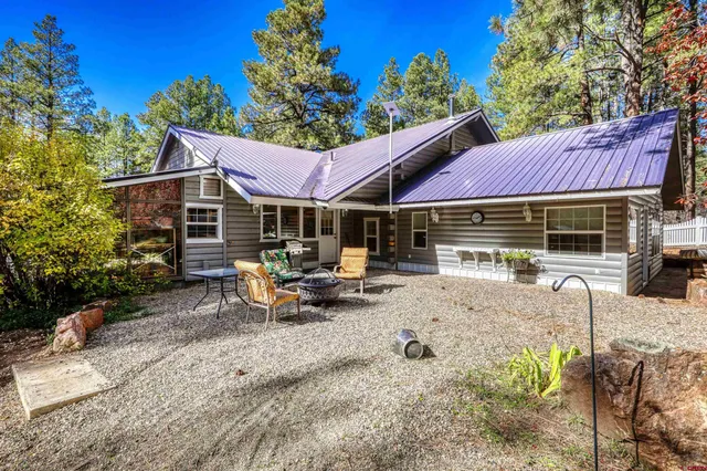a view of a yard with plants and trees