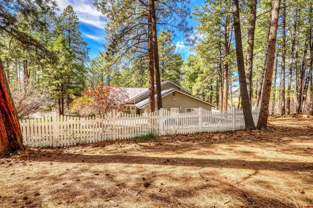 $1,175,000 | 3051 A County Road 200, Pagosa Springs, CO 81147