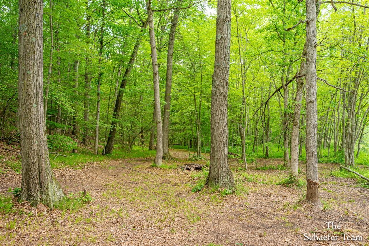 5227 Johnson Road Greenville, MI 48838 - Photo 15 of 33