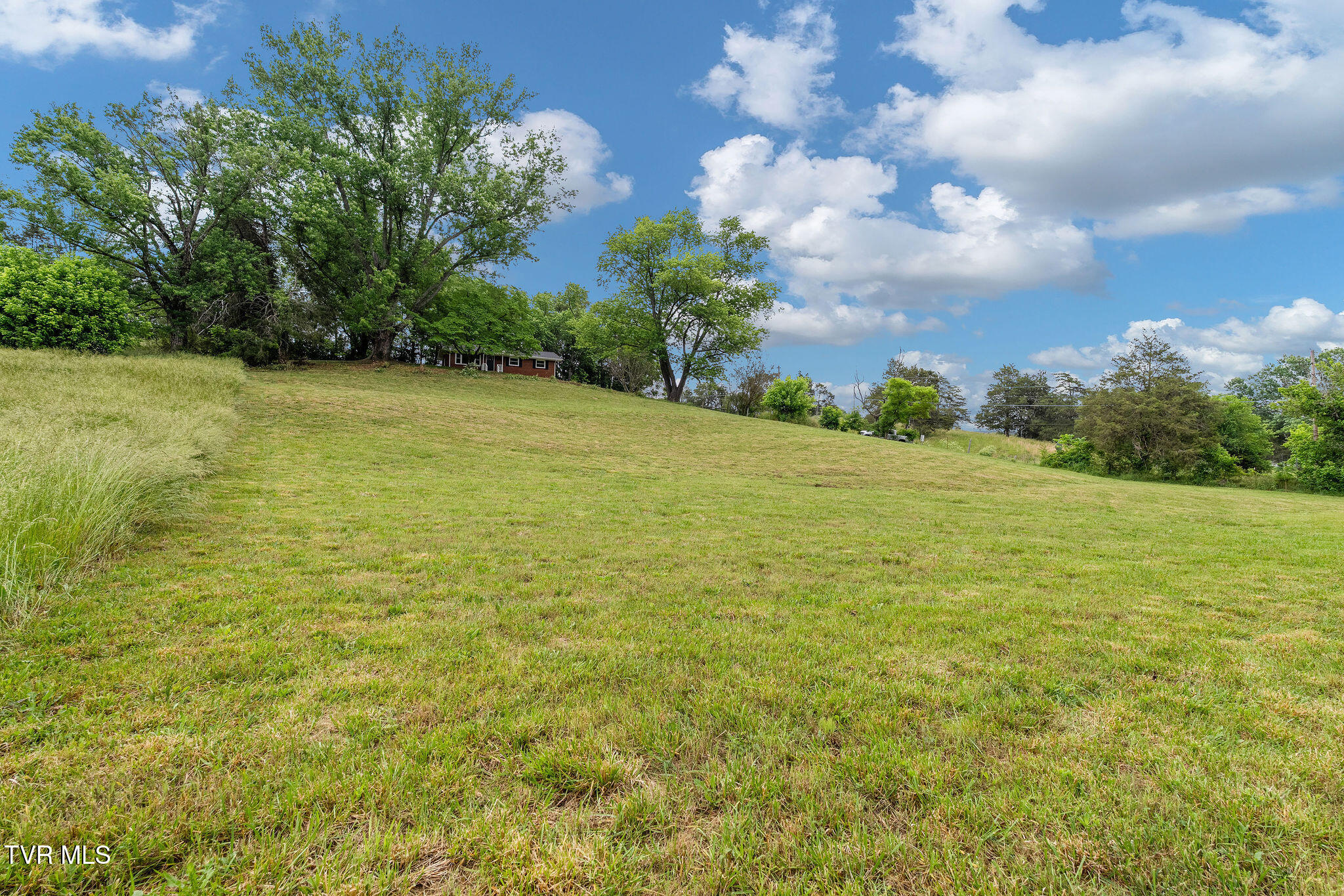 630 Briar Patch Lane Greeneville, TN 37745 - Photo 44 of 50 DSC03870