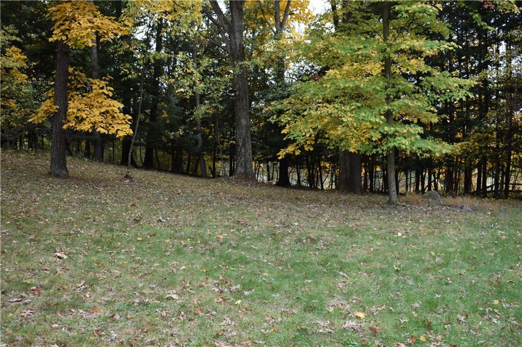 228 Harbison Road Sarver, PA 16055 - Photo 14 of 25 Side yard