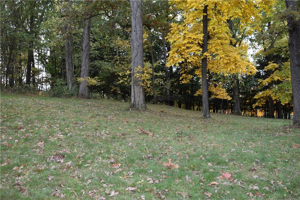 228 Harbison Road Sarver, PA 16055 - Photo 8 of 25 Rear yard