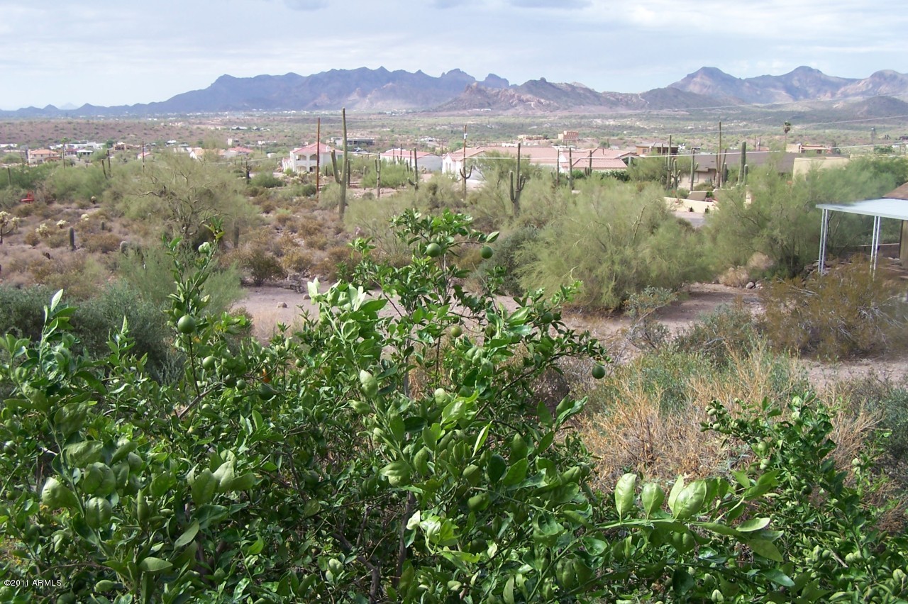 3312 North Prospectors Road Apache Junction, AZ 85119 - Photo 11 of 19 Balcony Views!