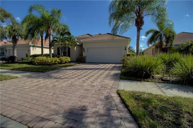 a view of a backyard with plants and palm tree