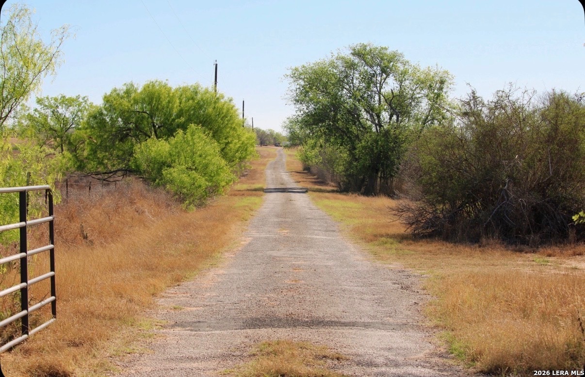 435 County Road 7715 Devine, TX 78016 - Photo 1 of 15 a view of a yard with potted plants