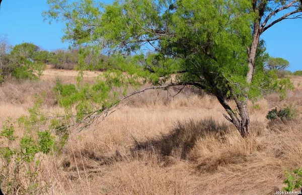 $350,000 | 435 County Road 7715, Devine, TX 78016