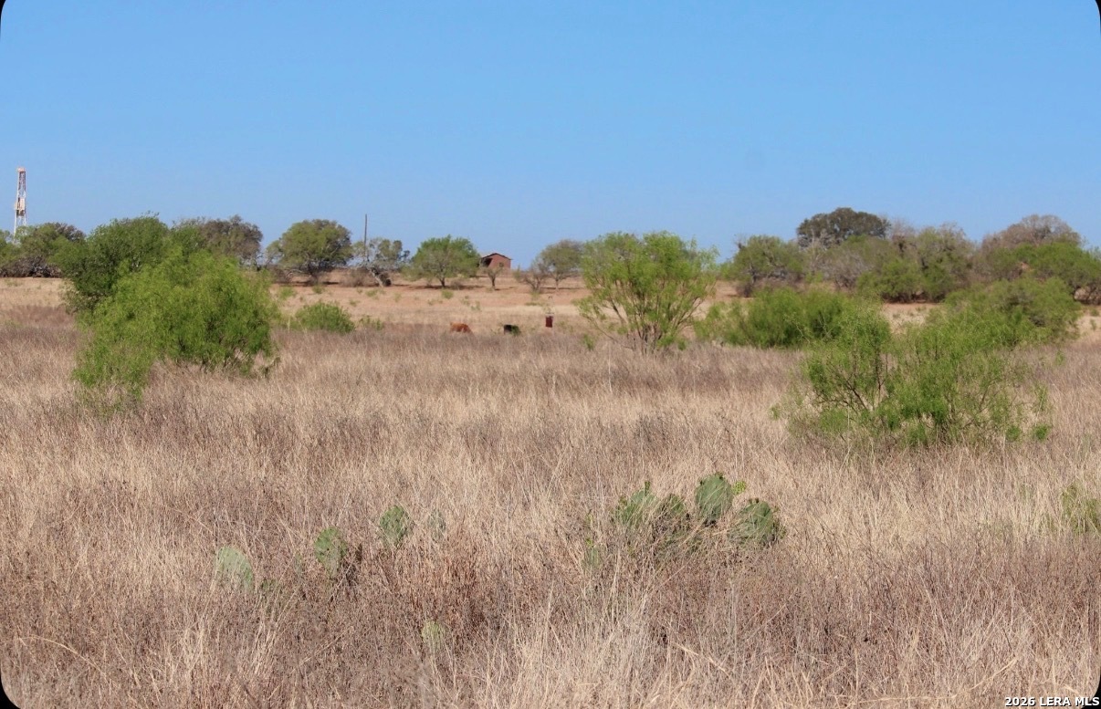435 County Road 7715 Devine, TX 78016 - Photo 4 of 15 a view of a field of grass and trees