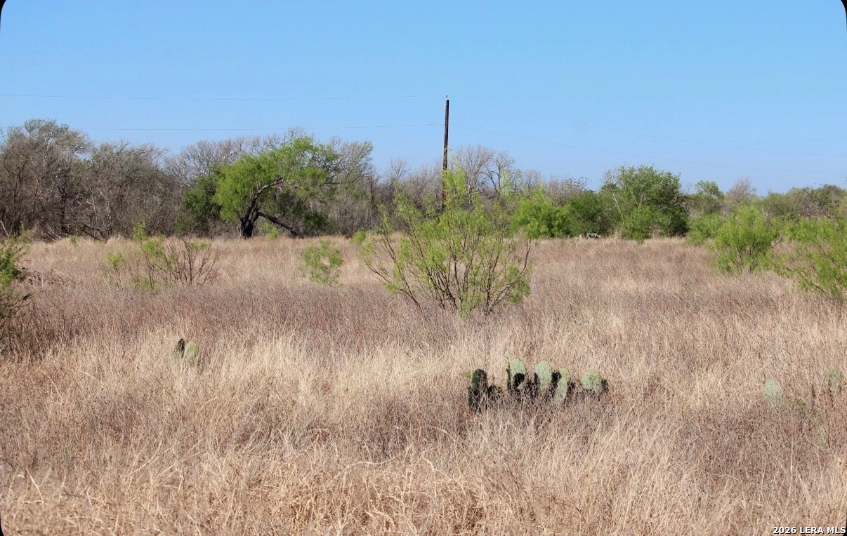 435 County Road 7715 Devine, TX 78016 - Photo 5 of 15 a view of a lake with houses in the background