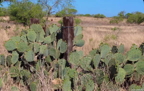 $350,000 | 435 County Road 7715, Devine, TX 78016