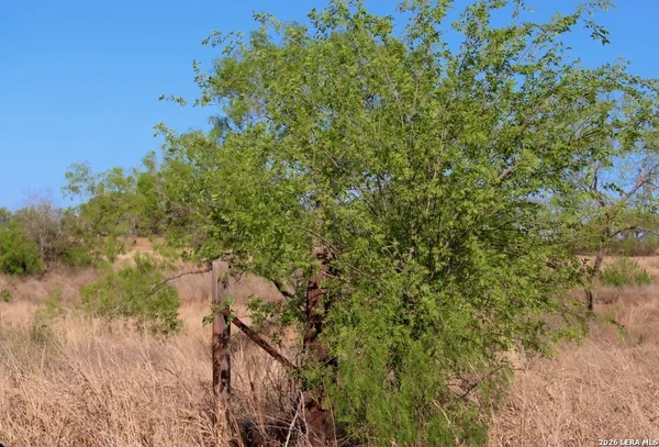 $350,000 | 435 County Road 7715, Devine, TX 78016