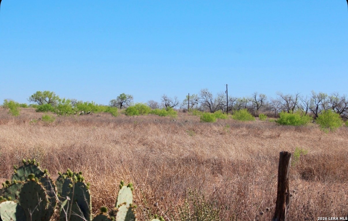 435 County Road 7715 Devine, TX 78016 - Photo 9 of 15 a view of a yard with a tree