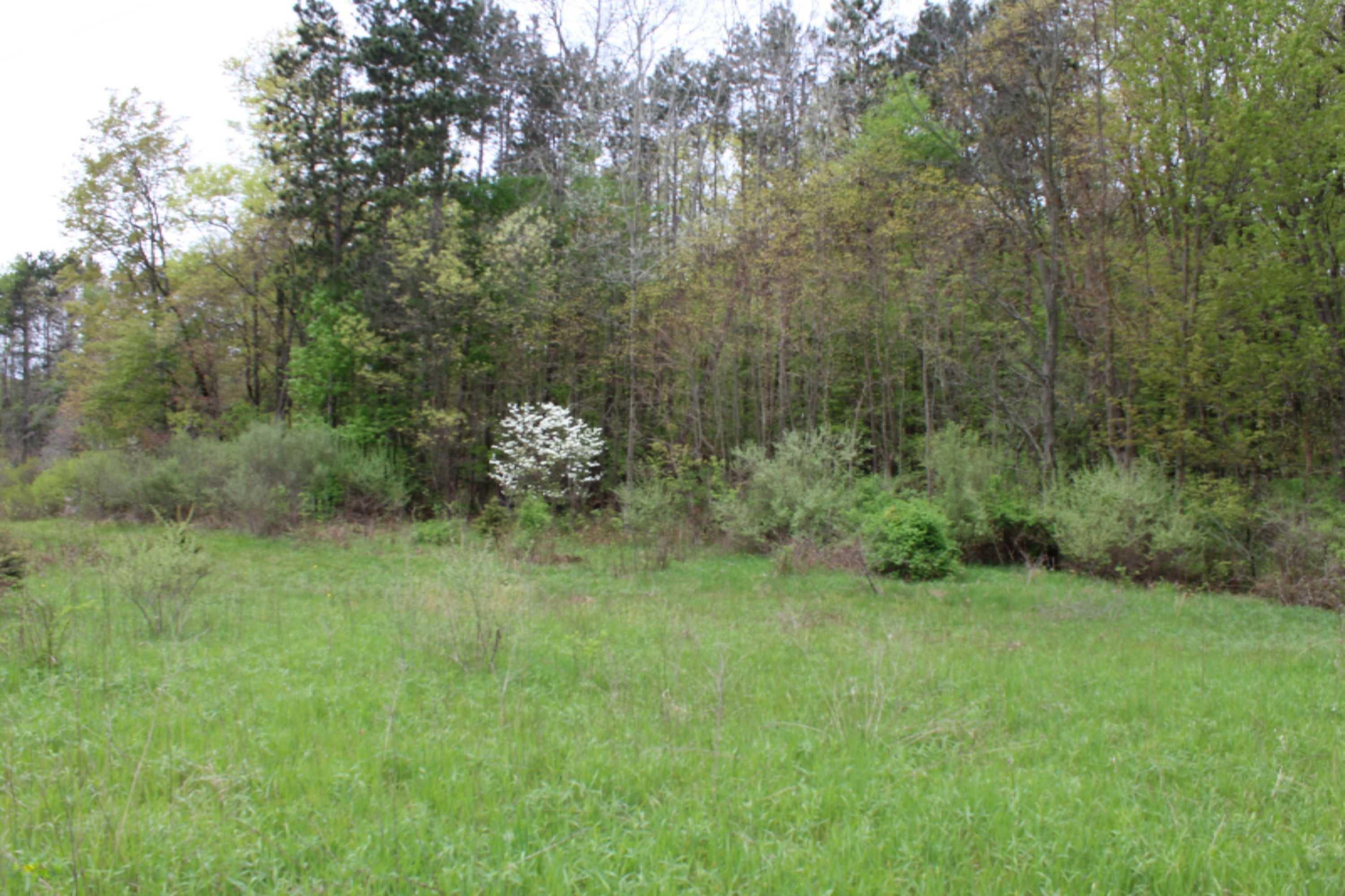 20+ Acres borders State Land