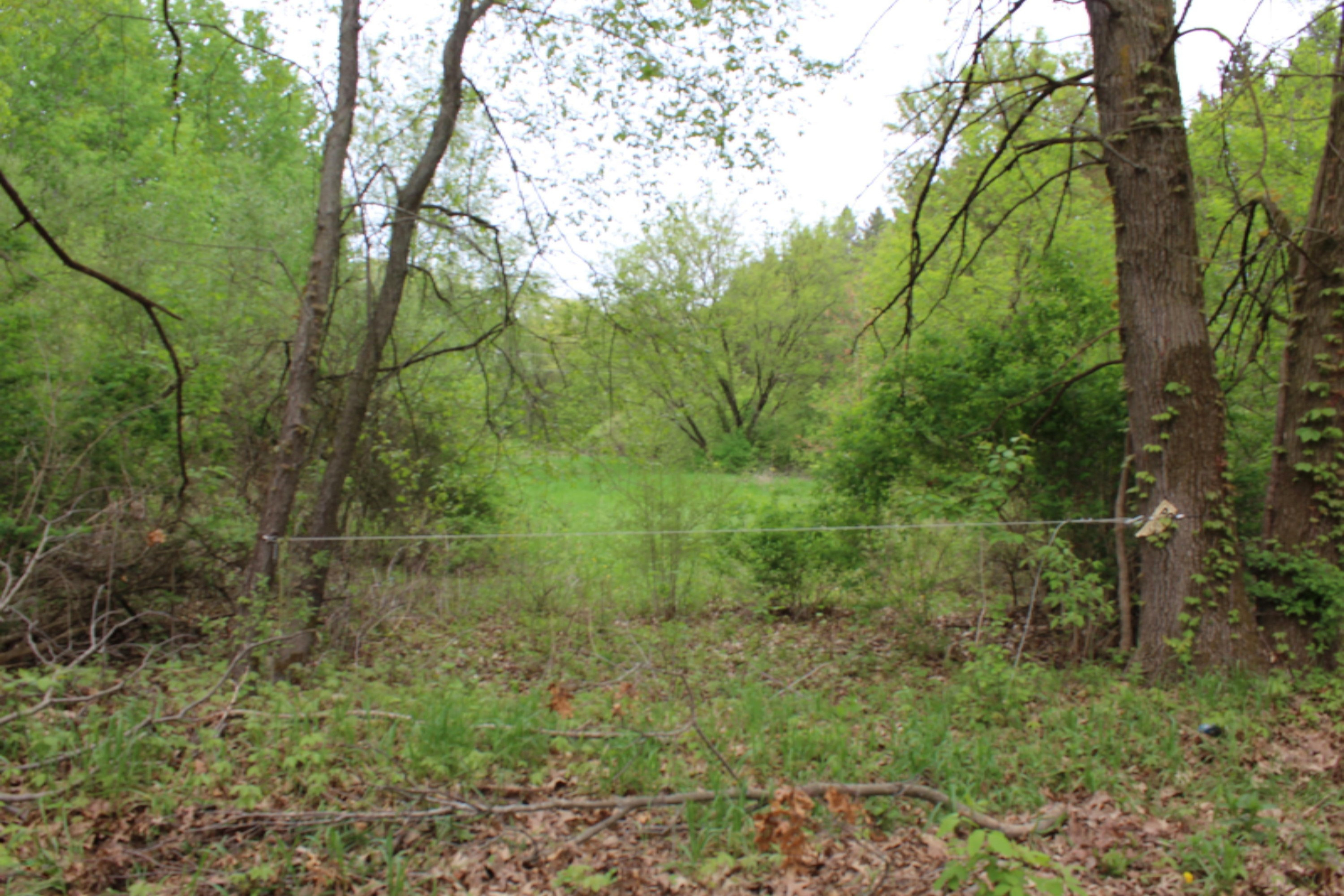Entrance from Bowens Mill Rd