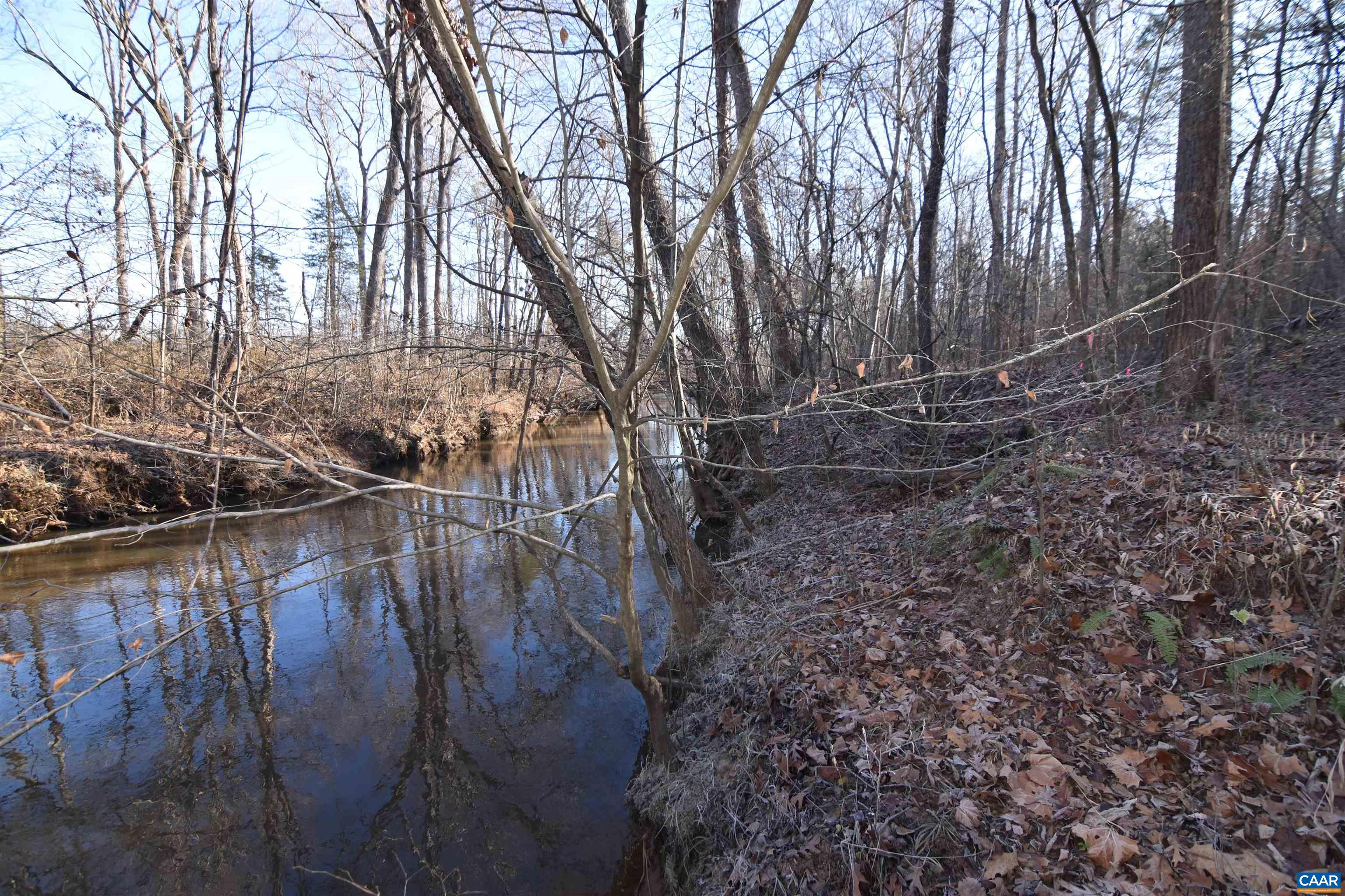 Lot 3 Plank Road Dillwyn, VA 23936 - Photo 16 of 26 Gallery Image 16