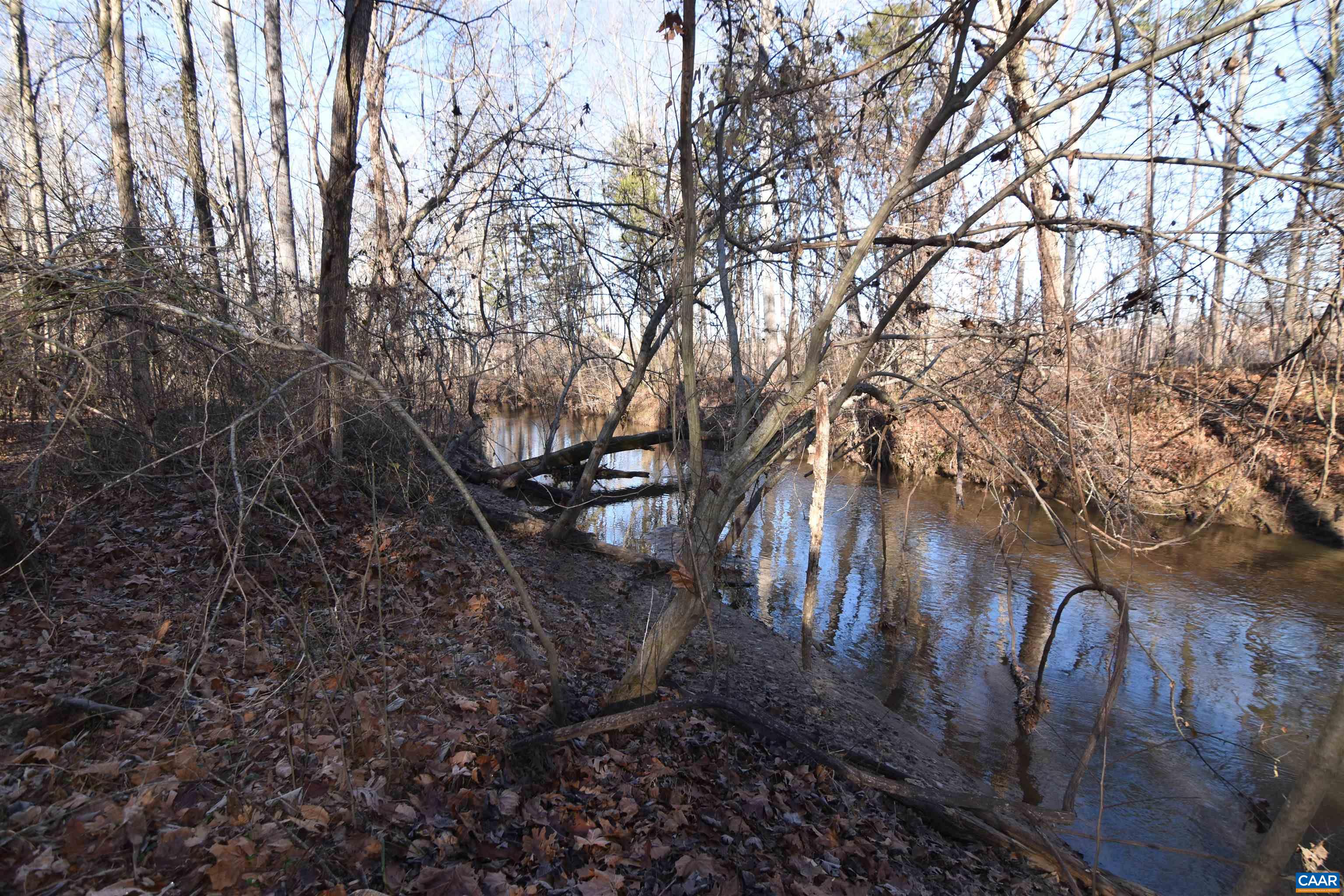 Lot 3 Plank Road Dillwyn, VA 23936 - Photo 17 of 26 Gallery Image 17
