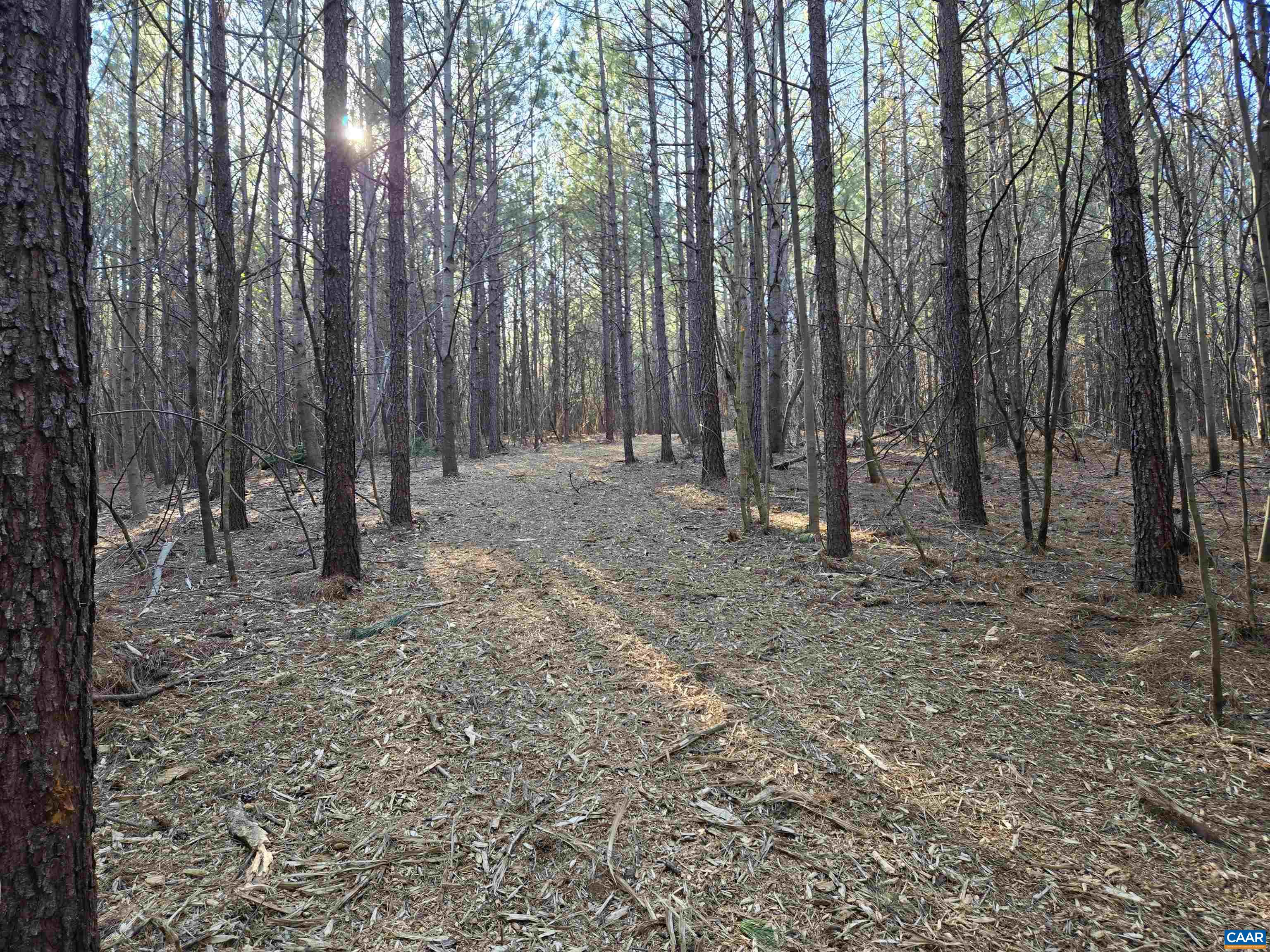 Lot 3 Plank Road Dillwyn, VA 23936 - Photo 19 of 26 Gallery Image 19