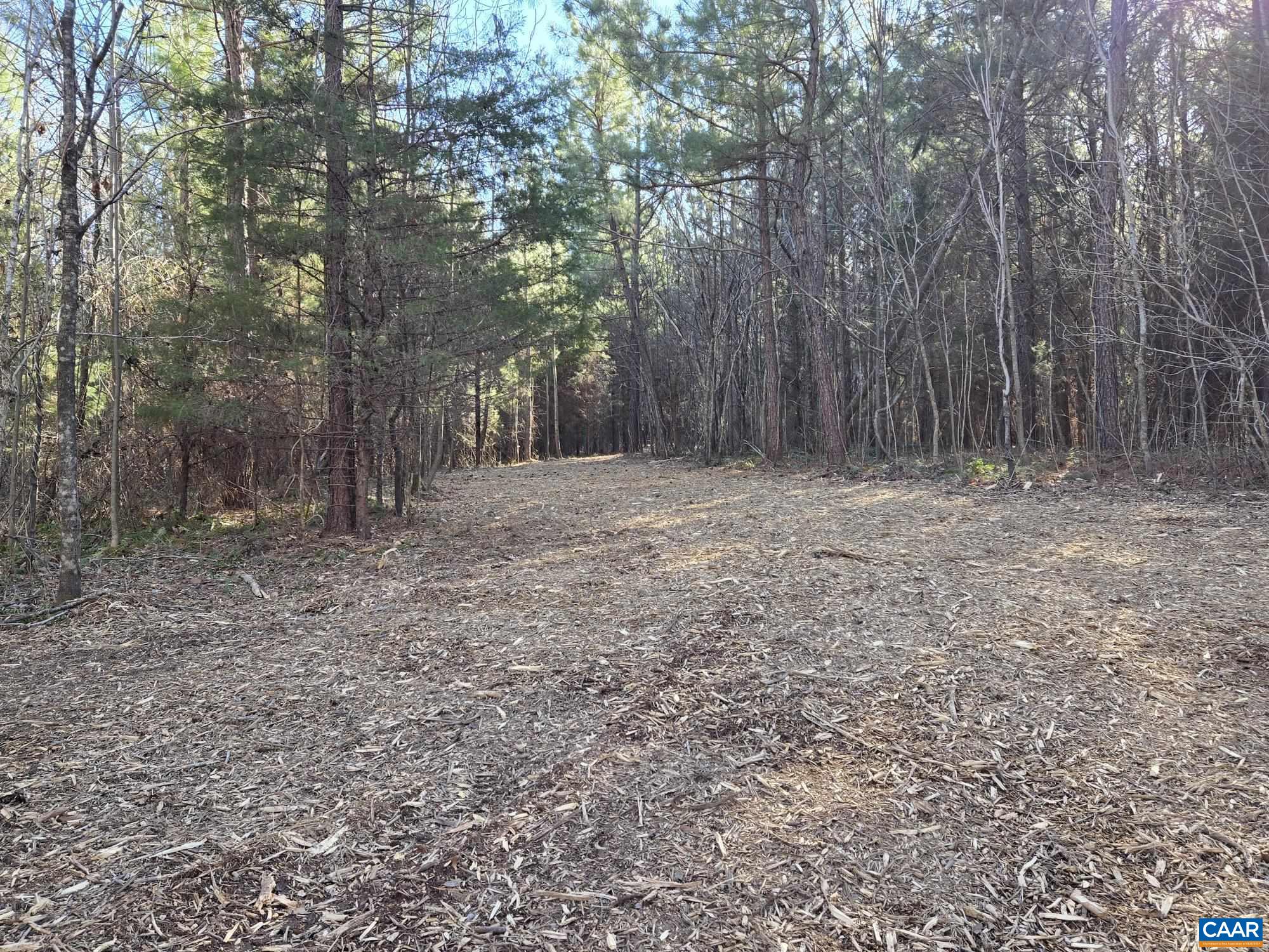 Lot 3 Plank Road Dillwyn, VA 23936 - Photo 20 of 26 Gallery Image 20