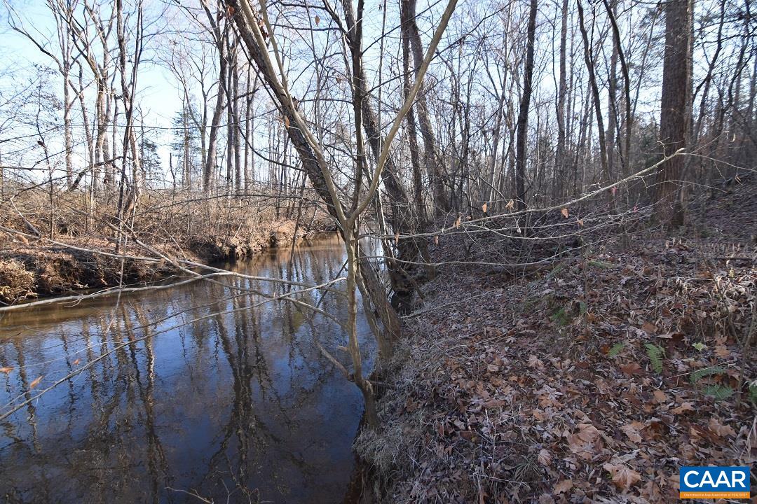 Lot 3 Plank Road Dillwyn, VA 23936 - Photo 2 of 26 Gallery Image 2