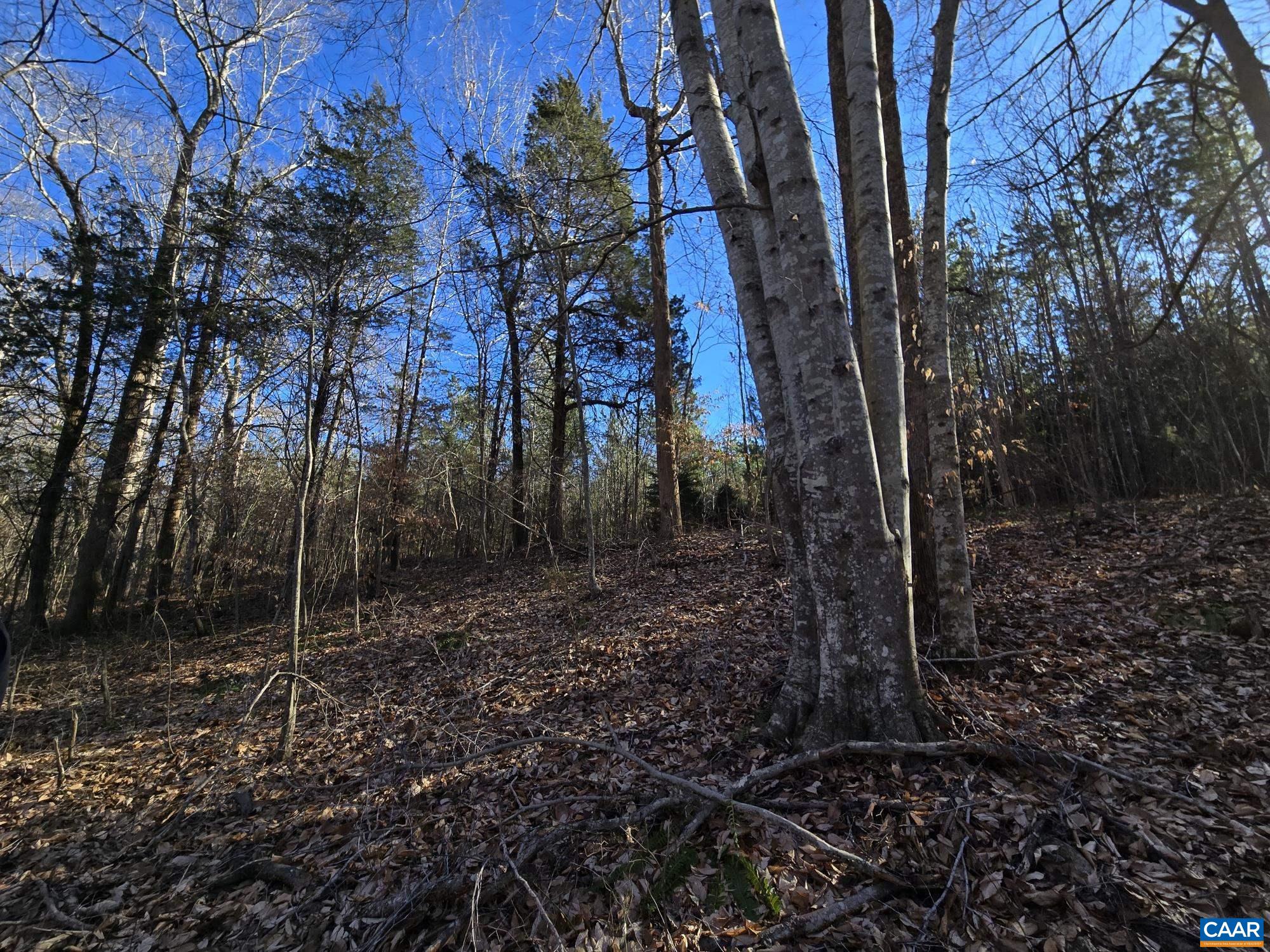 Lot 3 Plank Road Dillwyn, VA 23936 - Photo 21 of 26 Gallery Image 21