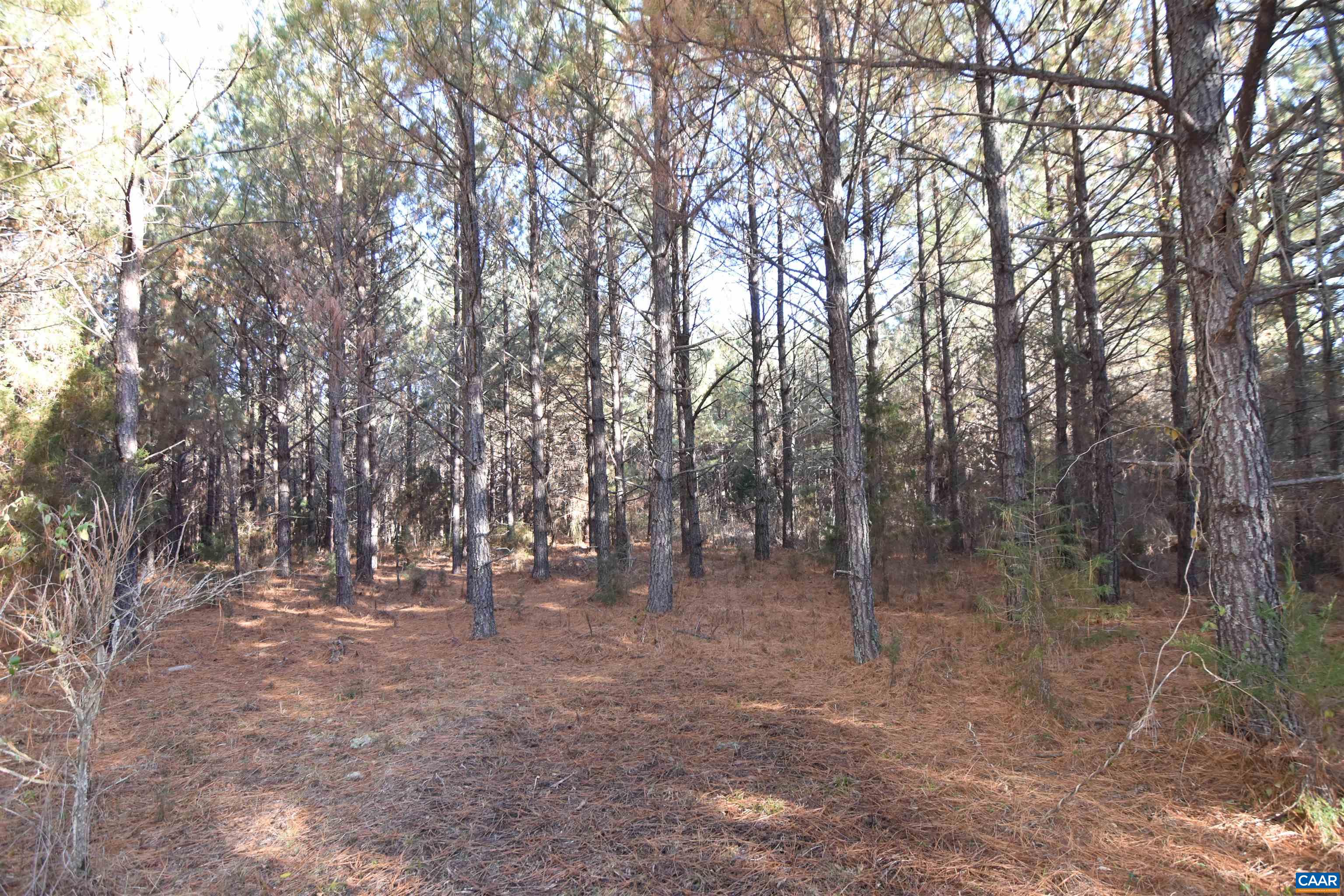 Lot 3 Plank Road Dillwyn, VA 23936 - Photo 22 of 26 Gallery Image 22