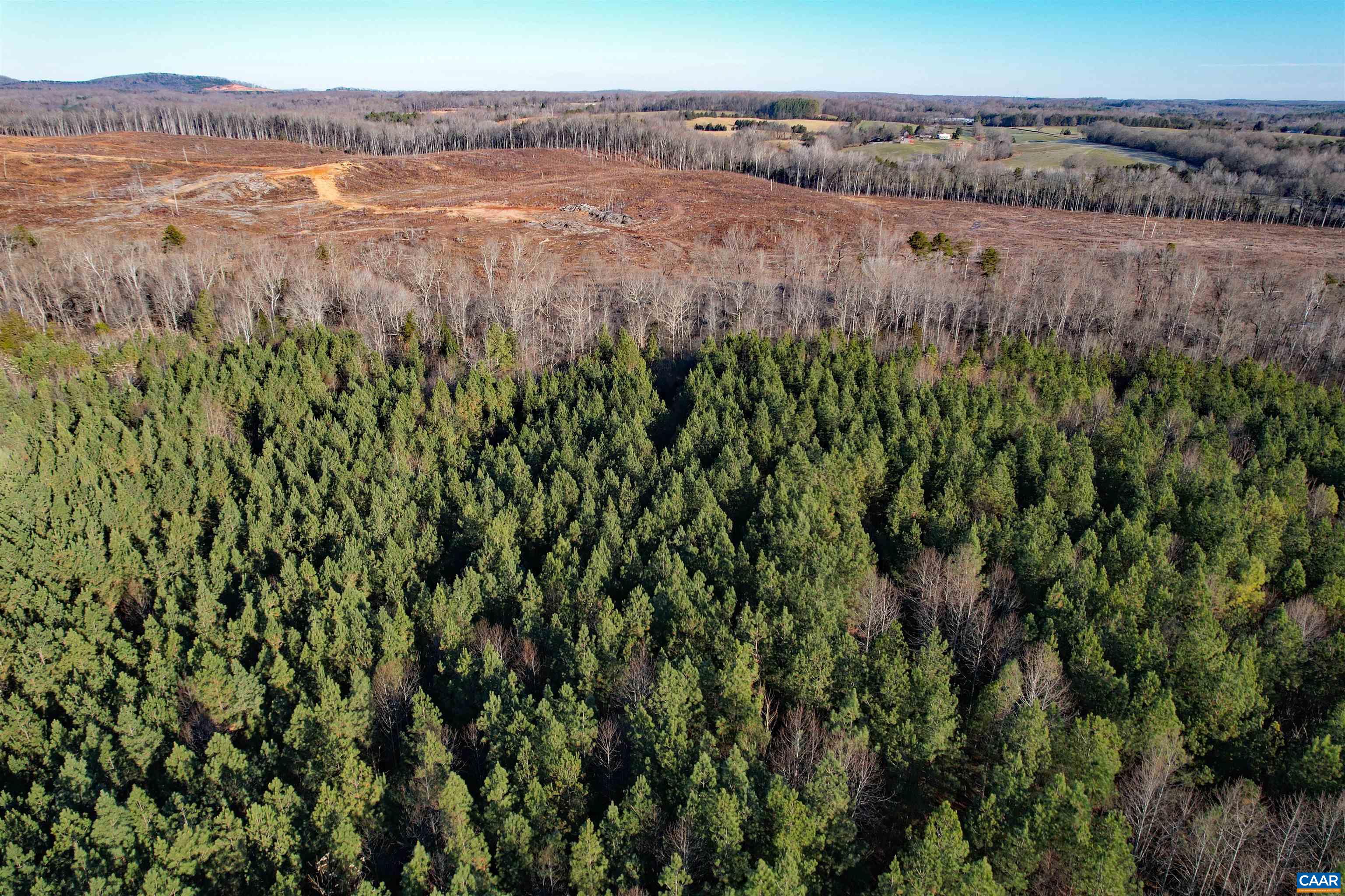 Lot 3 Plank Road Dillwyn, VA 23936 - Photo 3 of 26 Gallery Image 3