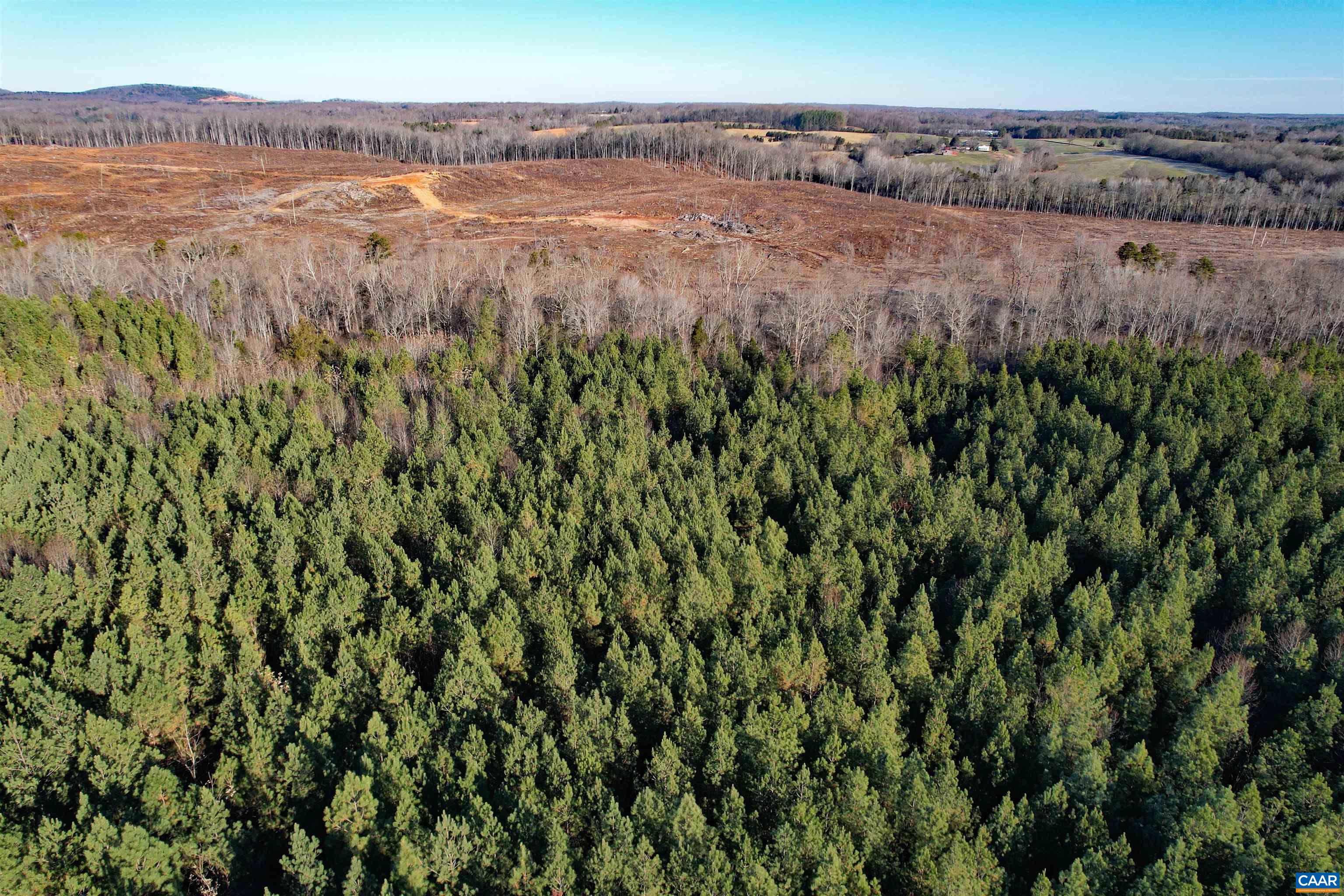 Lot 3 Plank Road Dillwyn, VA 23936 - Photo 4 of 26 Gallery Image 4