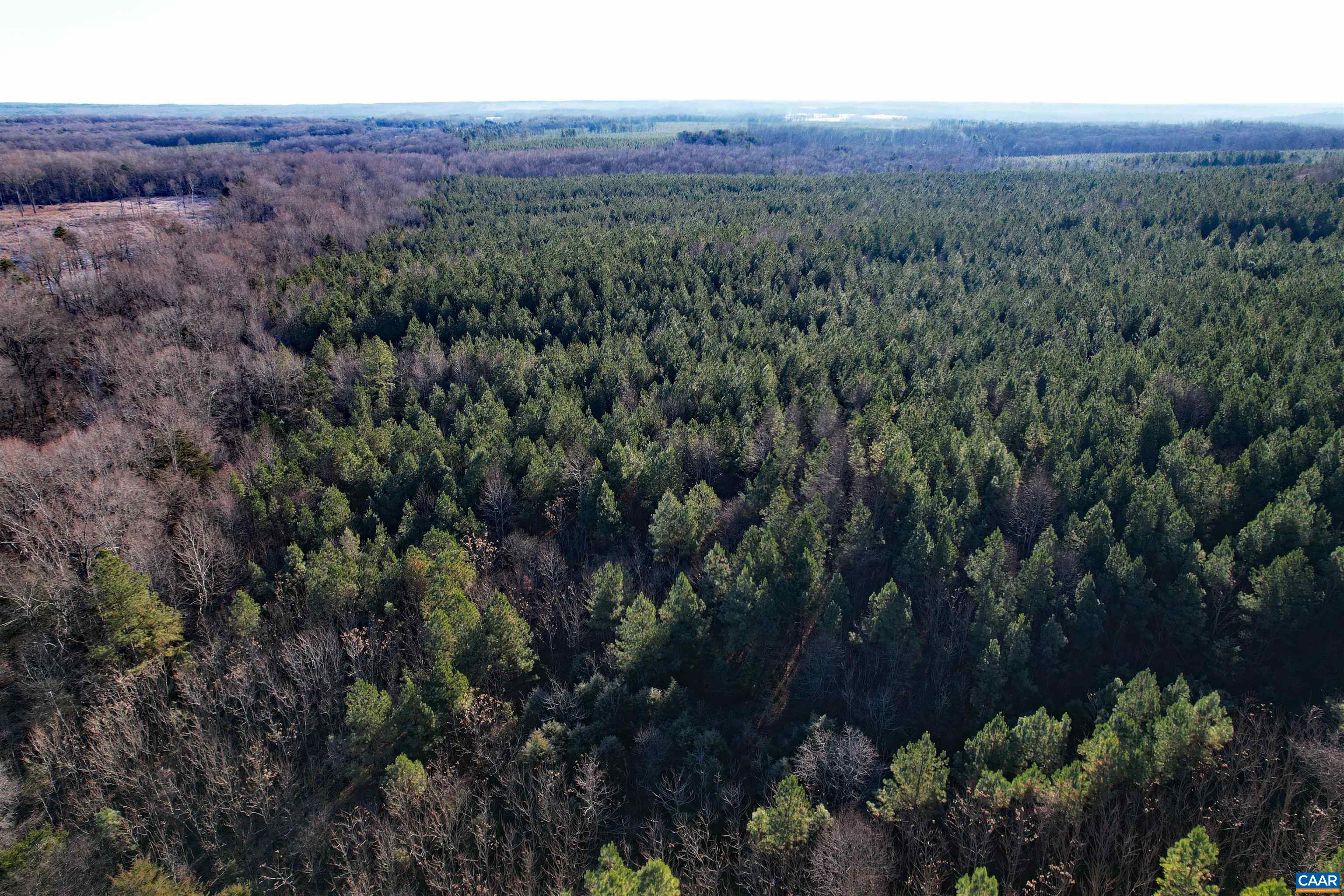 Lot 3 Plank Road Dillwyn, VA 23936 - Photo 6 of 26 Gallery Image 6