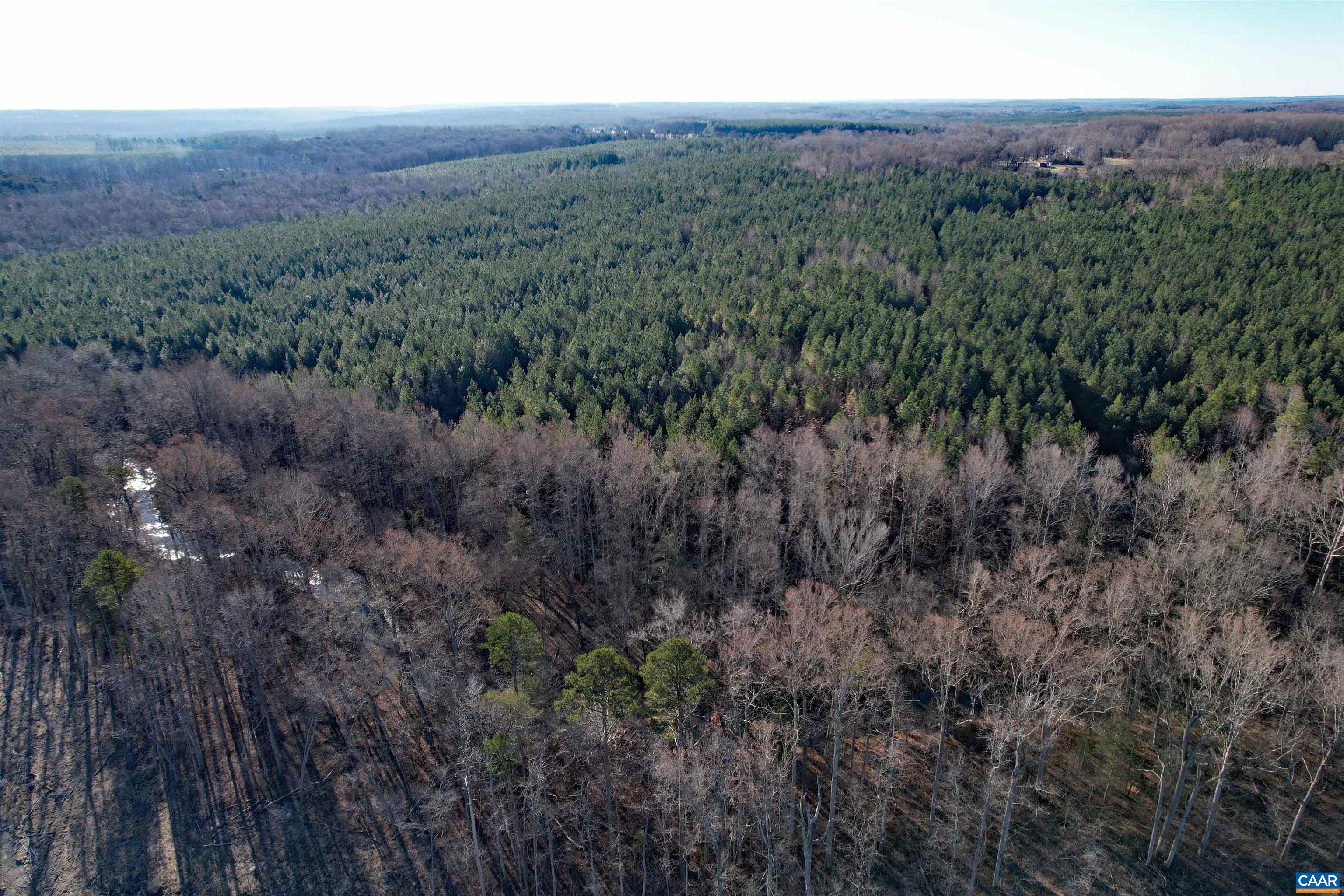 Lot 3 Plank Road Dillwyn, VA 23936 - Photo 8 of 26 Gallery Image 8