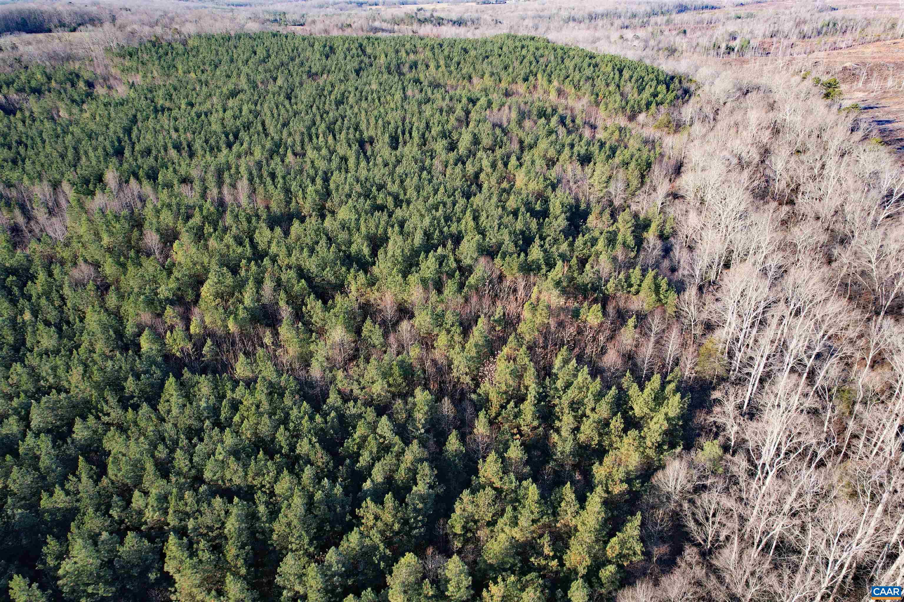 Lot 3 Plank Road Dillwyn, VA 23936 - Photo 10 of 26 Gallery Image 10